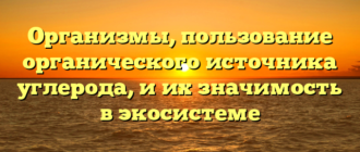 Организмы, пользование органического источника углерода, и их значимость в экосистеме