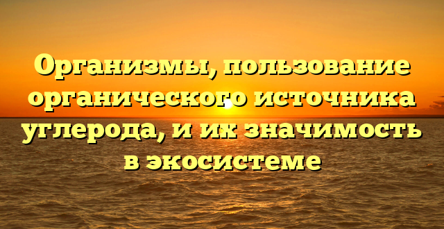 Организмы, пользование органического источника углерода, и их значимость в экосистеме