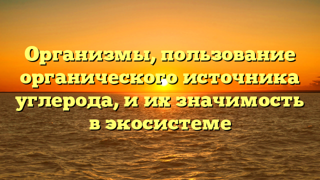 Организмы, пользование органического источника углерода, и их значимость в экосистеме