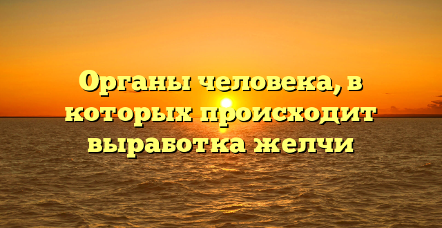 Органы человека, в которых происходит выработка желчи