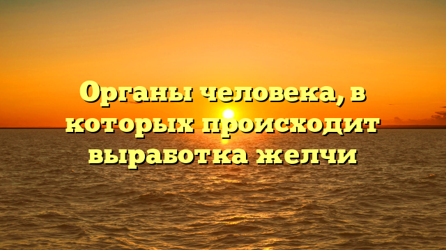 Органы человека, в которых происходит выработка желчи