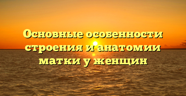 Основные особенности строения и анатомии матки у женщин