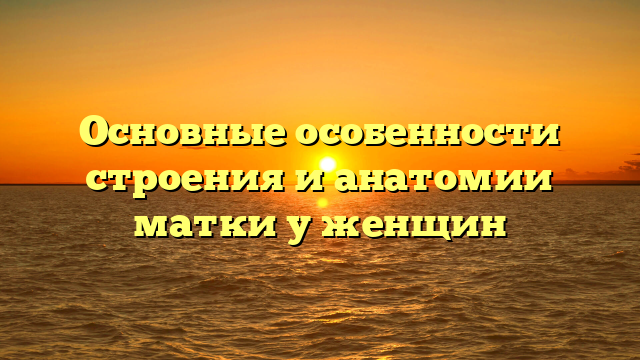 Основные особенности строения и анатомии матки у женщин