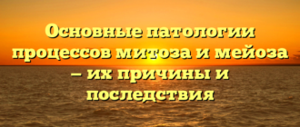 Основные патологии процессов митоза и мейоза — их причины и последствия