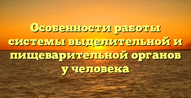 Особенности работы системы выделительной и пищеварительной органов у человека