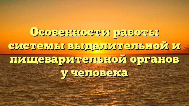 Особенности работы системы выделительной и пищеварительной органов у человека