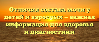 Отличия состава мочи у детей и взрослых — важная информация для здоровья и диагностики