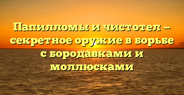 Папилломы и чистотел — секретное оружие в борьбе с бородавками и моллюсками