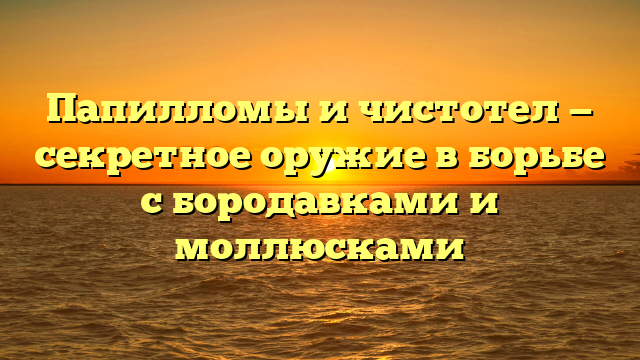 Папилломы и чистотел — секретное оружие в борьбе с бородавками и моллюсками