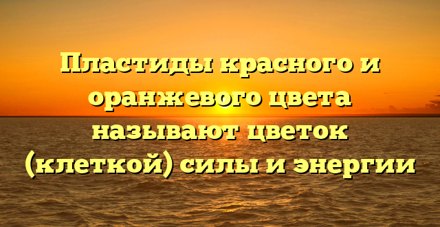 Пластиды красного и оранжевого цвета называют цветок (клеткой) силы и энергии