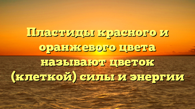 Пластиды красного и оранжевого цвета называют цветок (клеткой) силы и энергии