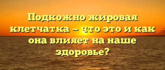 Подкожно жировая клетчатка — что это и как она влияет на наше здоровье?