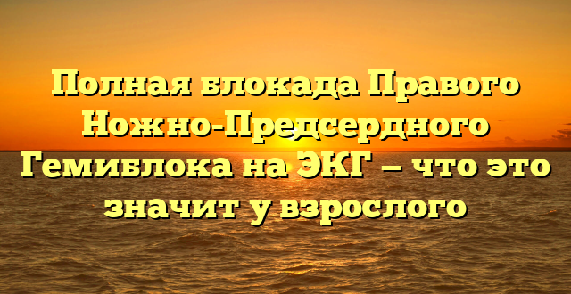 Полная блокада Правого Ножно-Предсердного Гемиблока на ЭКГ — что это значит у взрослого