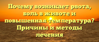 Почему возникает рвота, боль в животе и повышенная температура? Причины и методы лечения