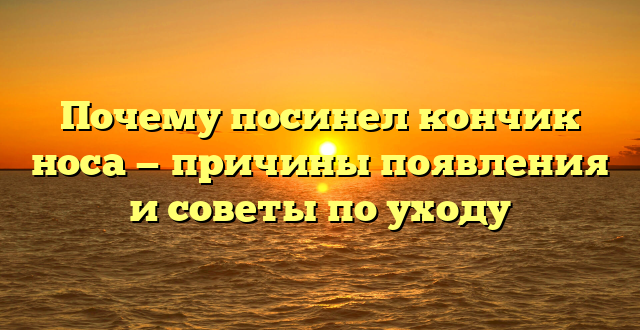 Почему посинел кончик носа — причины появления и советы по уходу