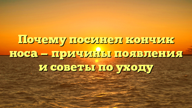 Почему посинел кончик носа — причины появления и советы по уходу