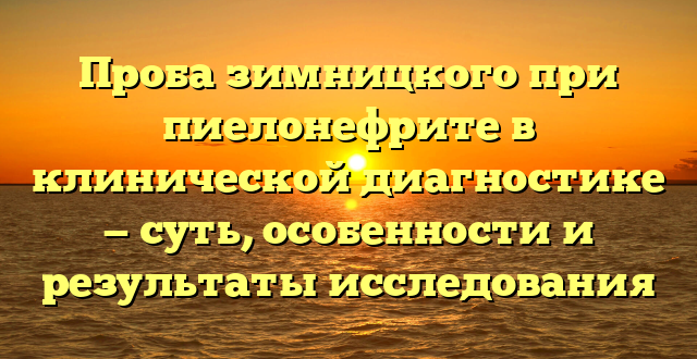 Проба зимницкого при пиелонефрите в клинической диагностике — суть, особенности и результаты исследования