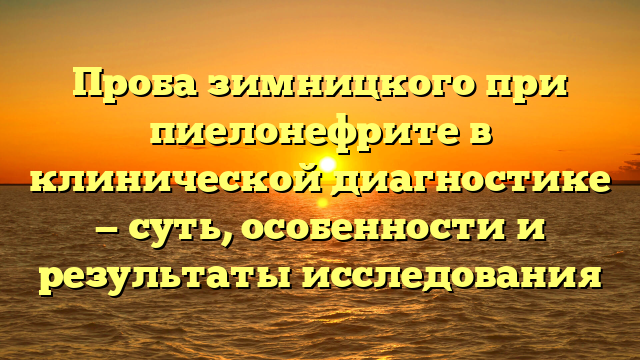 Проба зимницкого при пиелонефрите в клинической диагностике — суть, особенности и результаты исследования