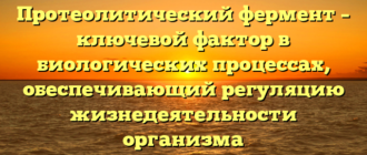 Протеолитический фермент – ключевой фактор в биологических процессах, обеспечивающий регуляцию жизнедеятельности организма