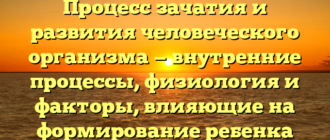 Процесс зачатия и развития человеческого организма — внутренние процессы, физиология и факторы, влияющие на формирование ребенка