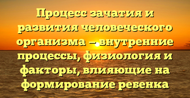 Процесс зачатия и развития человеческого организма — внутренние процессы, физиология и факторы, влияющие на формирование ребенка