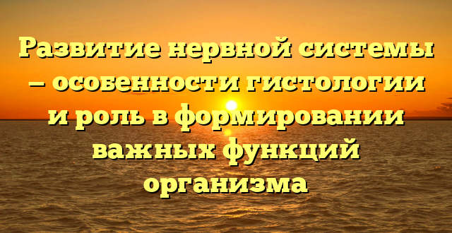 Развитие нервной системы — особенности гистологии и роль в формировании важных функций организма