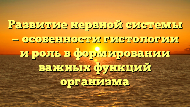 Развитие нервной системы — особенности гистологии и роль в формировании важных функций организма