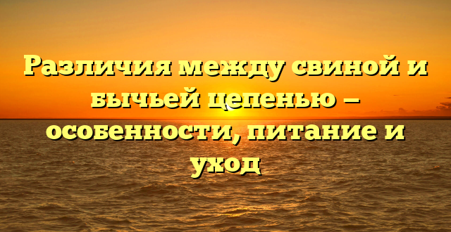 Различия между свиной и бычьей цепенью — особенности, питание и уход