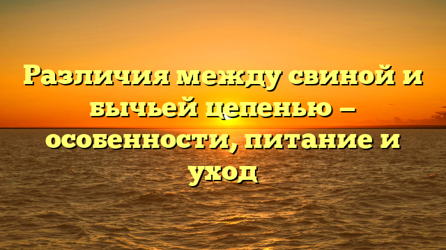 Различия между свиной и бычьей цепенью — особенности, питание и уход