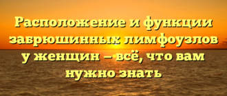 Расположение и функции забрюшинных лимфоузлов у женщин — всё, что вам нужно знать