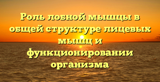 Роль лобной мышцы в общей структуре лицевых мышц и функционировании организма