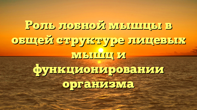 Роль лобной мышцы в общей структуре лицевых мышц и функционировании организма