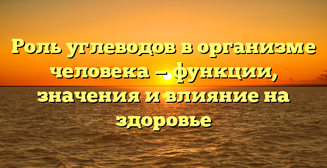 Роль углеводов в организме человека — функции, значения и влияние на здоровье