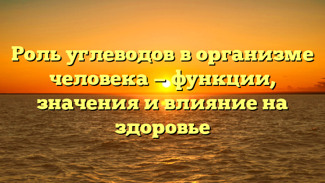 Роль углеводов в организме человека — функции, значения и влияние на здоровье