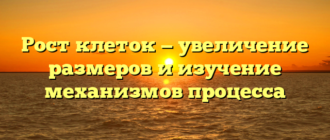 Рост клеток — увеличение размеров и изучение механизмов процесса