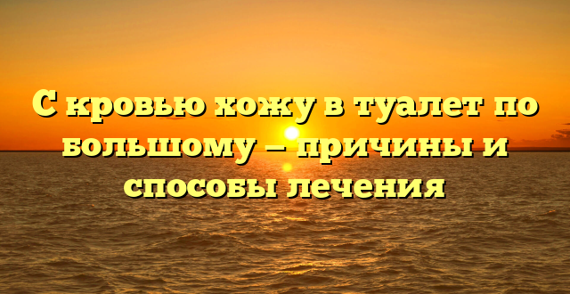 С кровью хожу в туалет по большому — причины и способы лечения