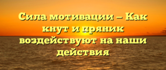 Сила мотивации — Как кнут и пряник воздействуют на наши действия