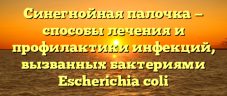 Синегнойная палочка — способы лечения и профилактики инфекций, вызванных бактериями Escherichia coli