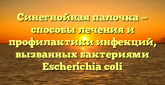 Синегнойная палочка — способы лечения и профилактики инфекций, вызванных бактериями Escherichia coli