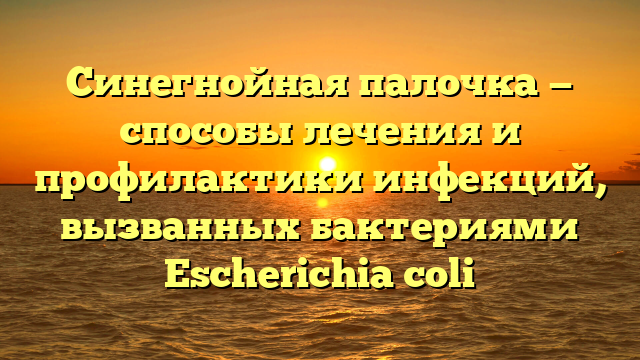 Синегнойная палочка — способы лечения и профилактики инфекций, вызванных бактериями Escherichia coli