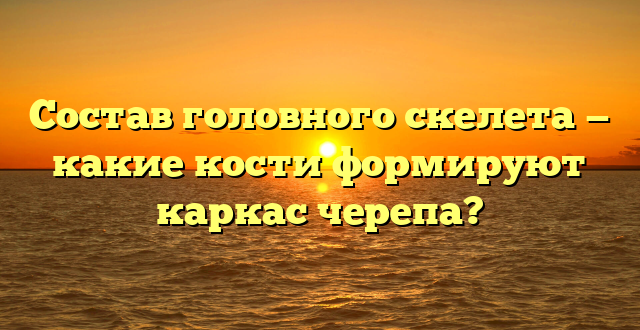 Состав головного скелета — какие кости формируют каркас черепа?