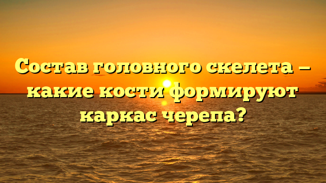 Состав головного скелета — какие кости формируют каркас черепа?