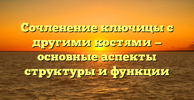 Сочленение ключицы с другими костями — основные аспекты структуры и функции