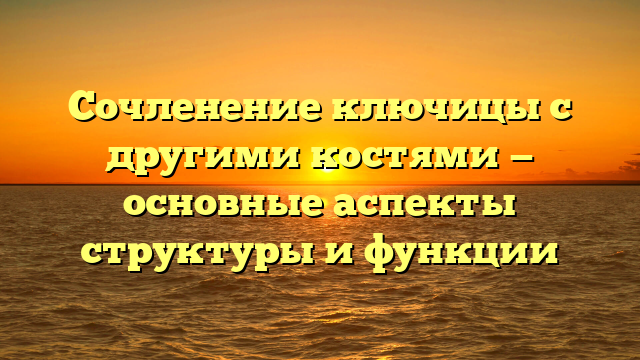 Сочленение ключицы с другими костями — основные аспекты структуры и функции