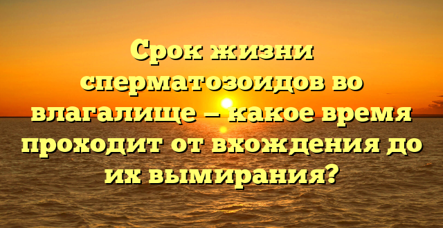 Срок жизни сперматозоидов во влагалище — какое время проходит от вхождения до их вымирания?