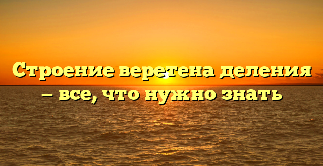 Строение веретена деления — все, что нужно знать