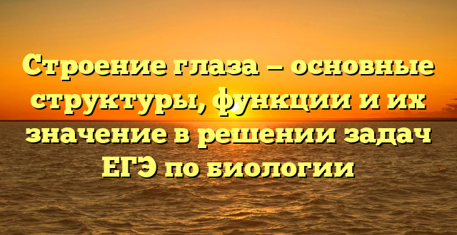 Строение глаза — основные структуры, функции и их значение в решении задач ЕГЭ по биологии