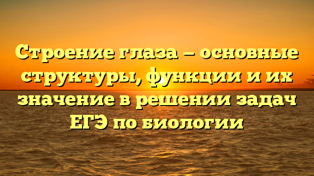 Строение глаза — основные структуры, функции и их значение в решении задач ЕГЭ по биологии