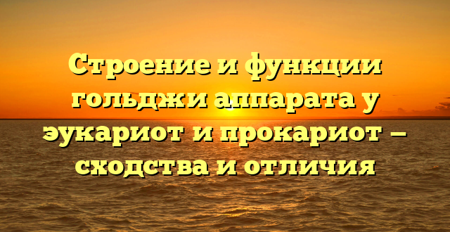 Строение и функции гольджи аппарата у эукариот и прокариот — сходства и отличия