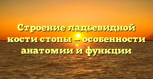 Строение ладьевидной кости стопы — особенности анатомии и функции